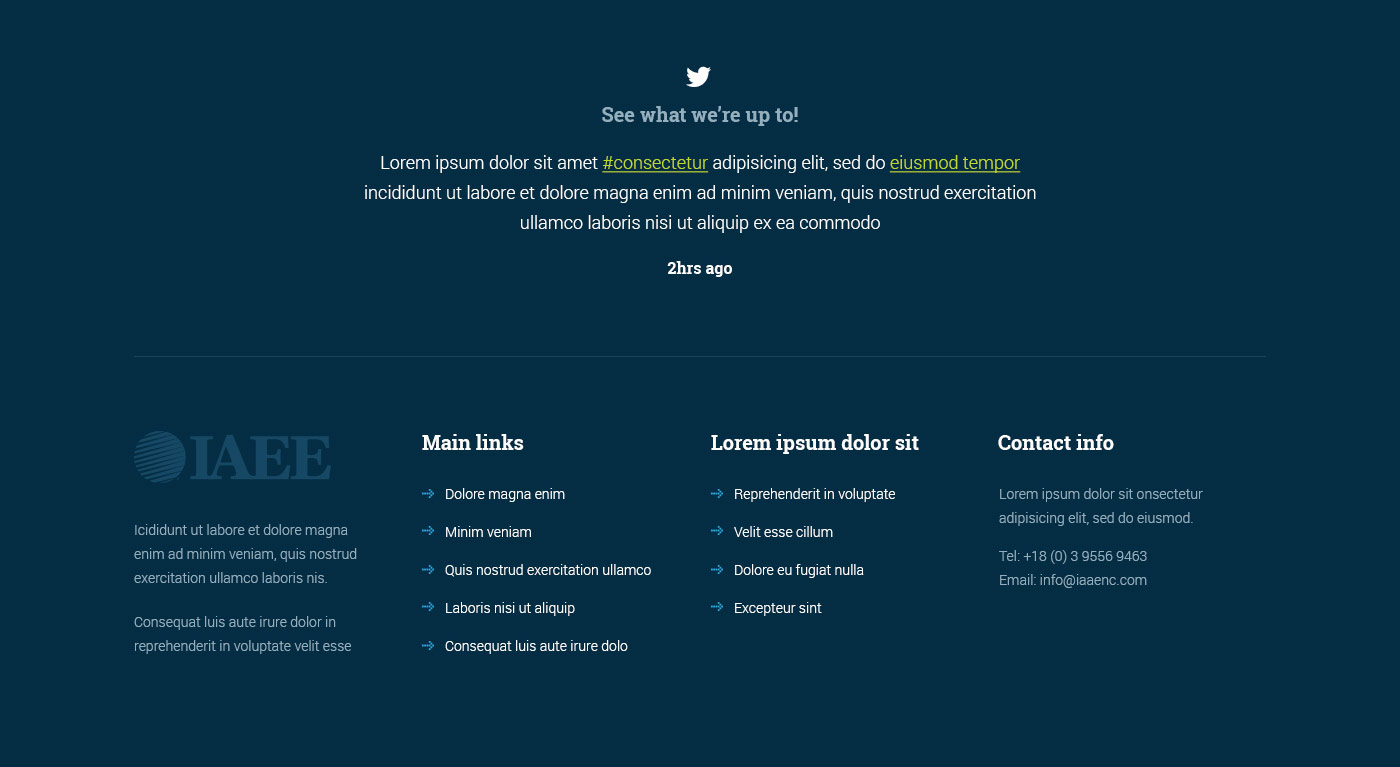 Twitter widget + footer